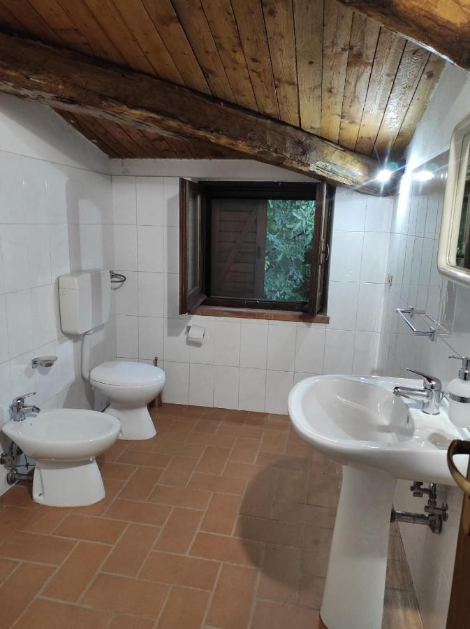 Agriturismo Difesa Del Monte 格里索利亚 外观 照片